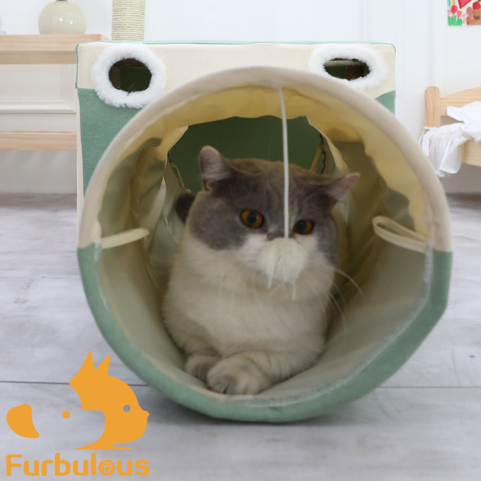 Furbulous Cat Tunnel with Hideaway Box Nest Cave House and Scratching Post - Camera Shape