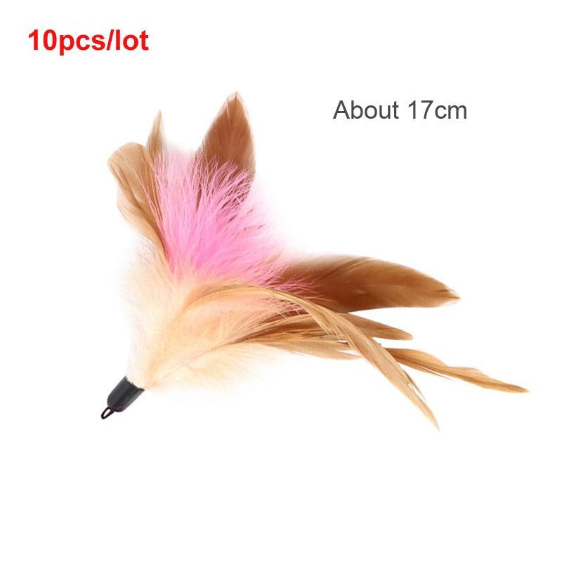 Feather Cat Toys Cats Funny Playing Toys